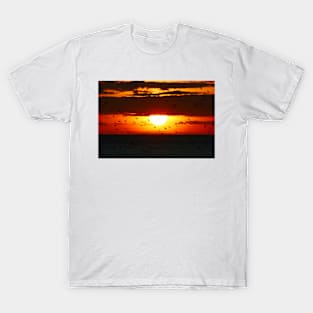 Starlings at Sunset T-Shirt